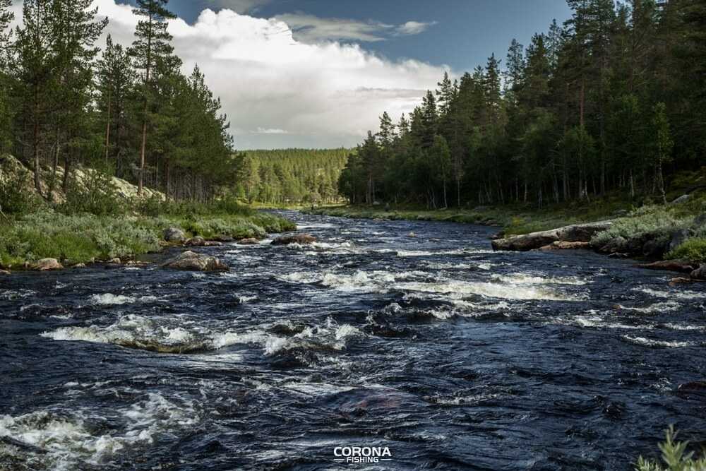 wędkarstwo skandynawia